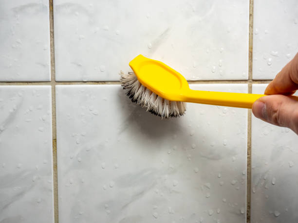 Attic Mold Removal in Anchorage, KY