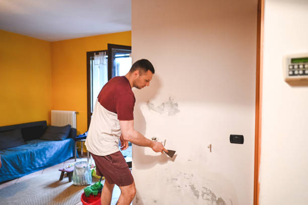 Best Mold Cleaning Services  in Anchorage, KY