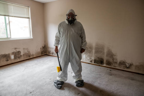 Best Residential Mold Removal  in Anchorage, KY